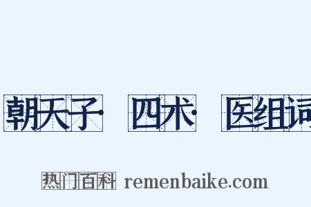 朝天子·四术·医组词是什么意思的图片